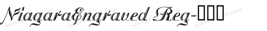 NiagaraEngraved Reg字体转换